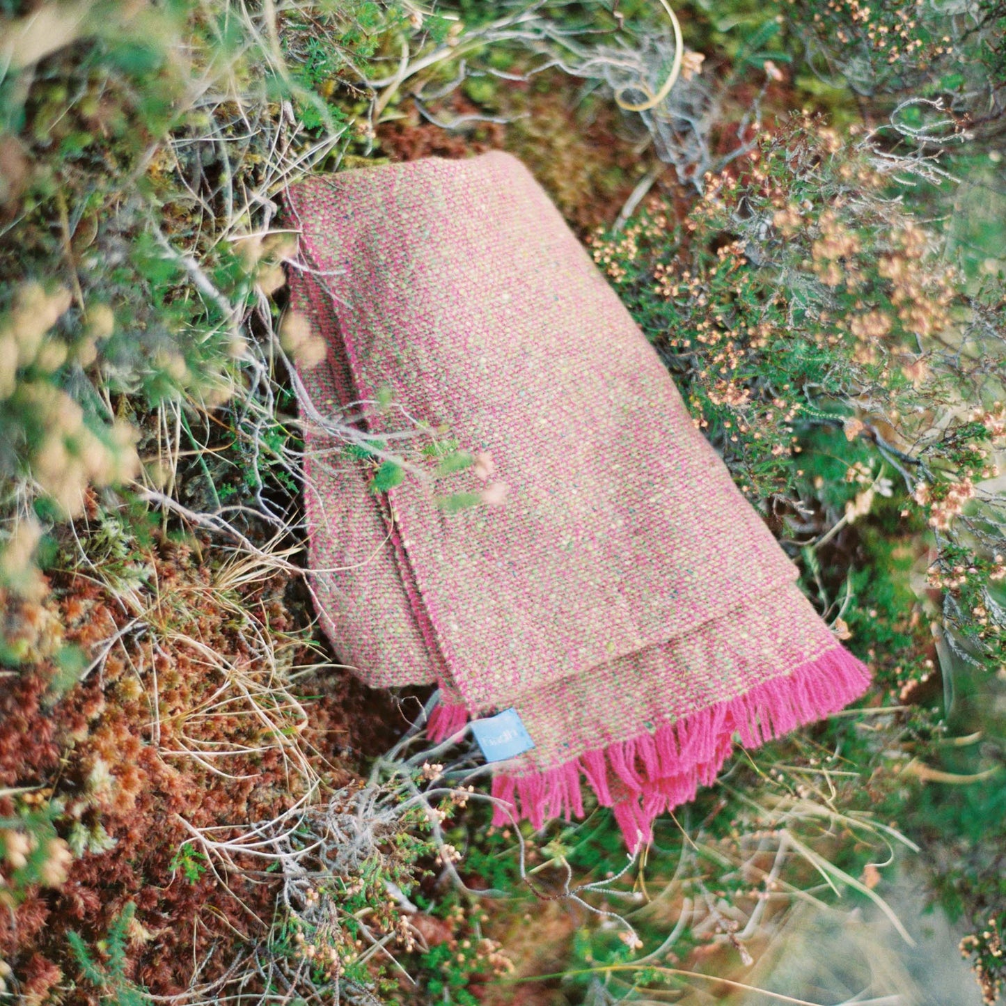 Pink range - plain weave